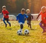 粤港澳,城同步开放,个场馆场地,海星体育直播在线,海星体育直播tv官网,海星体育直播app下载,海星体育直播平台