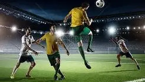 广州丹辉体育文化传媒有限公司