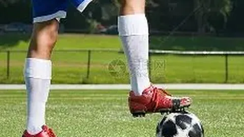 海星体育直播平台 产品 111202 qz0