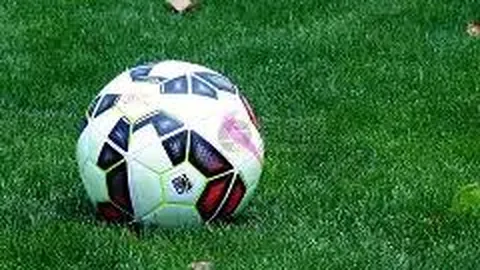 海星体育直播平台 资讯 133554 dpq